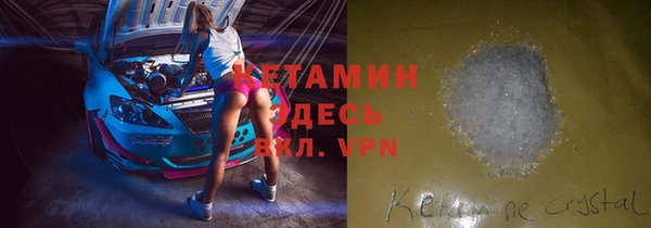 крисы Баксан