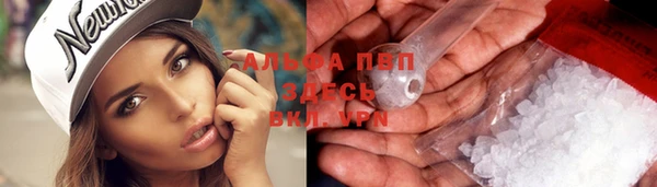 PSILOCYBIN Балахна
