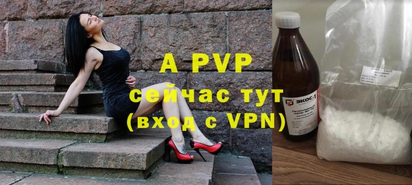 крисы Баксан