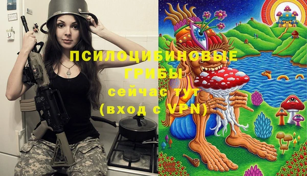 крисы Баксан