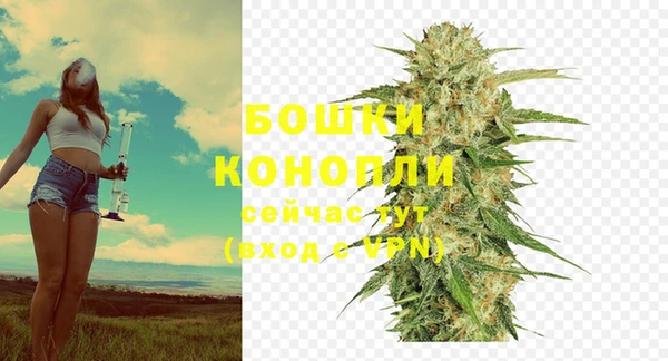 PSILOCYBIN Балахна