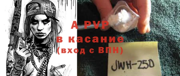 крисы Баксан