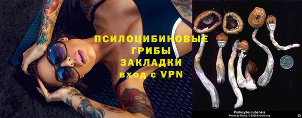крисы Баксан